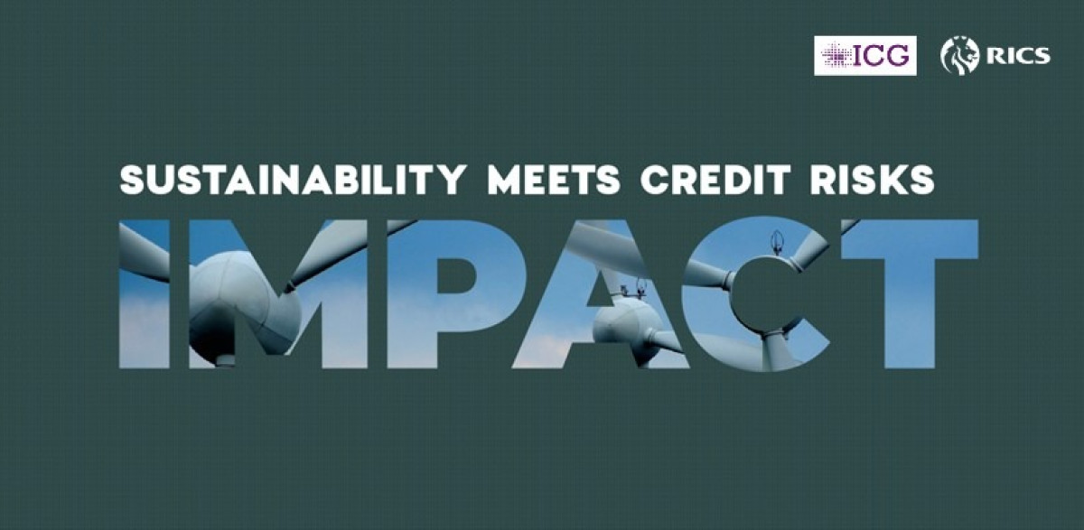 IMPACT: Sustainability meets Credit Risks
