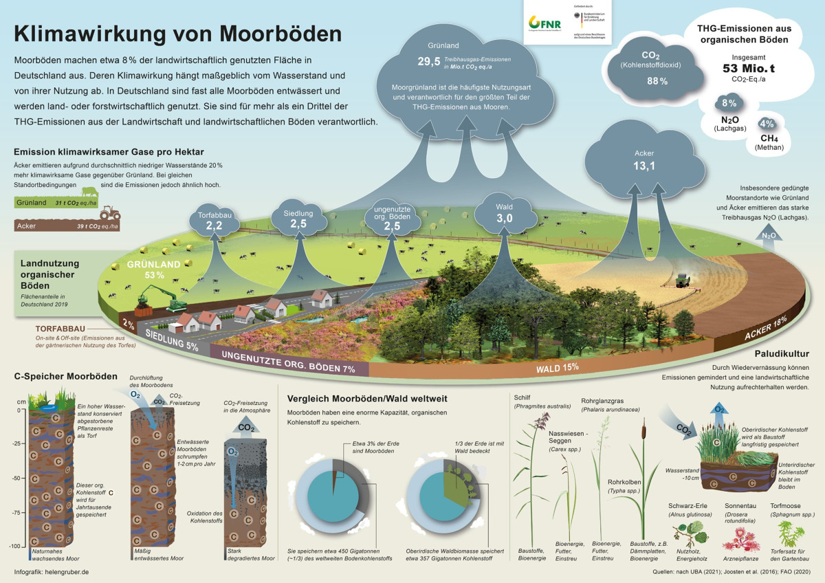Moorböden für Klimaschutz: Neue Übersicht der organischen Böden