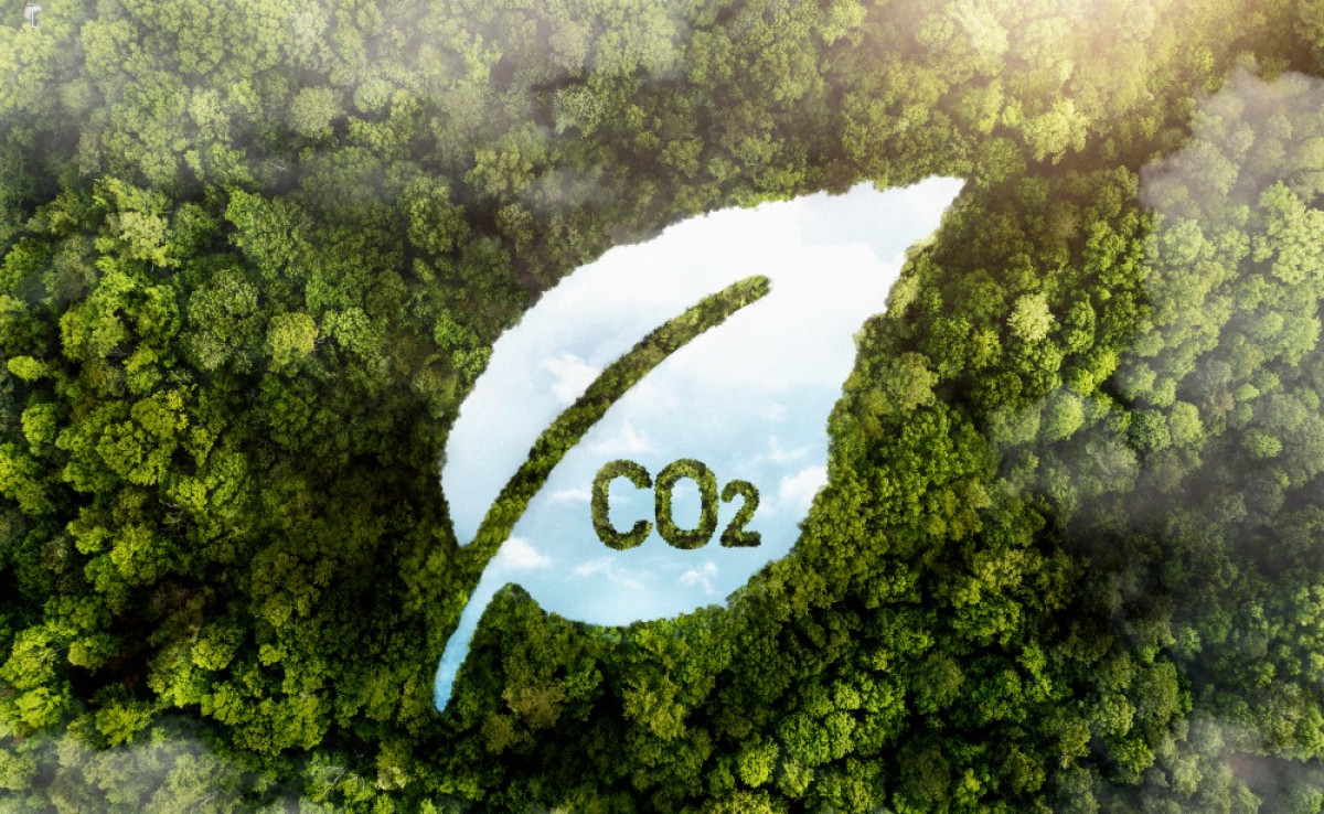 Kritik & Fehler im REDD+ Carbon Offset mit Regenwaldschutz Projekten: 1/4 des freiwilligen Kohlenstoffmarkts fragwürdig